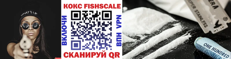 Купить закладки  Вязники  COCAIN FishScale 