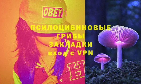 бошки Бугульма