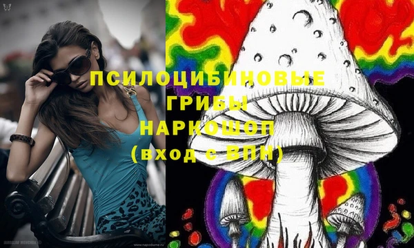 наркотики Бородино